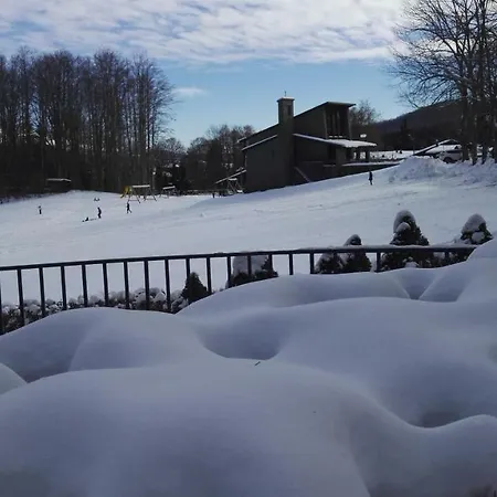 Apartment Le Regine *